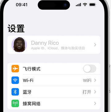 青州appleID维修服务iPhone设置中Apple ID显示为灰色无法使用 