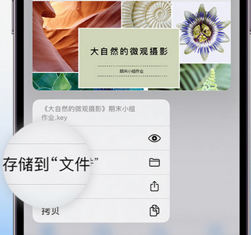 青州apple维修中心分享iPhone文件应用中存储和找到下载文件