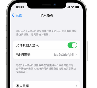 青州apple服务站点分享iPhone上个人热点丢失了怎么办