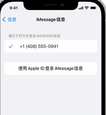 青州apple维修iPhone上无法正常发送iMessage信息 