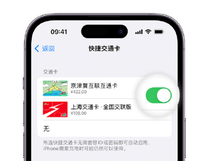 青州apple维修点分享iPhone上更换Apple Pay快捷交通卡手绘卡面 