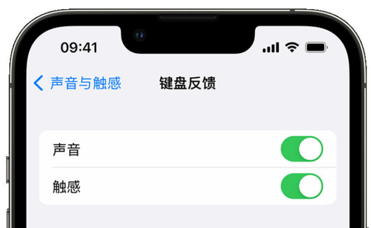 青州苹果手机维修分享iPhone 14触感键盘使用方法 