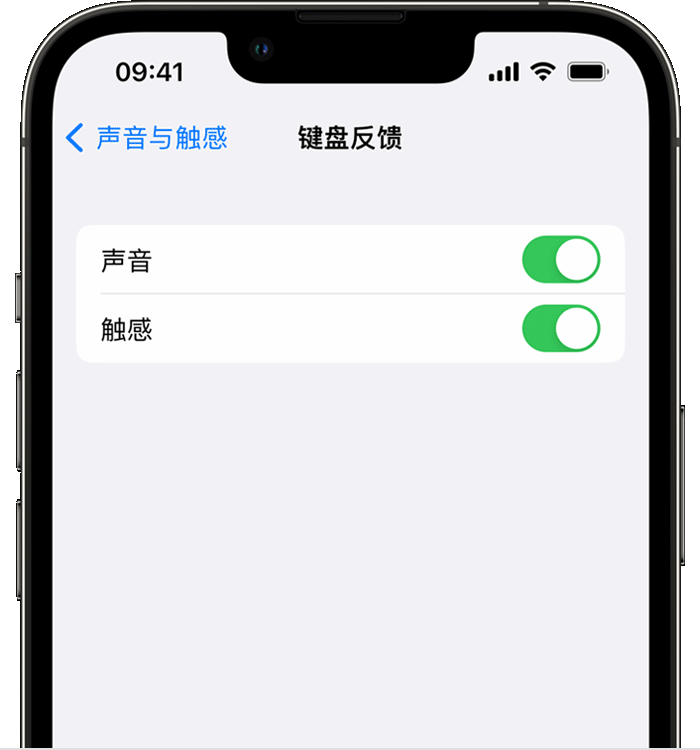 青州苹果14维修店分享如何在 iPhone 14 机型中使用触感键盘 