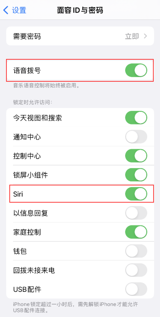 青州苹果维修网点分享不解锁 iPhone 的情况下通过 Siri 拨打电话的方法 