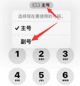 青州苹果14维修店分享iPhone 14 Pro Max使用副卡打电话的方法 