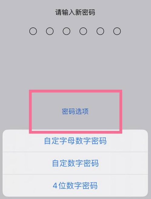 青州苹果14维修分享iPhone 14plus设置密码的方法 