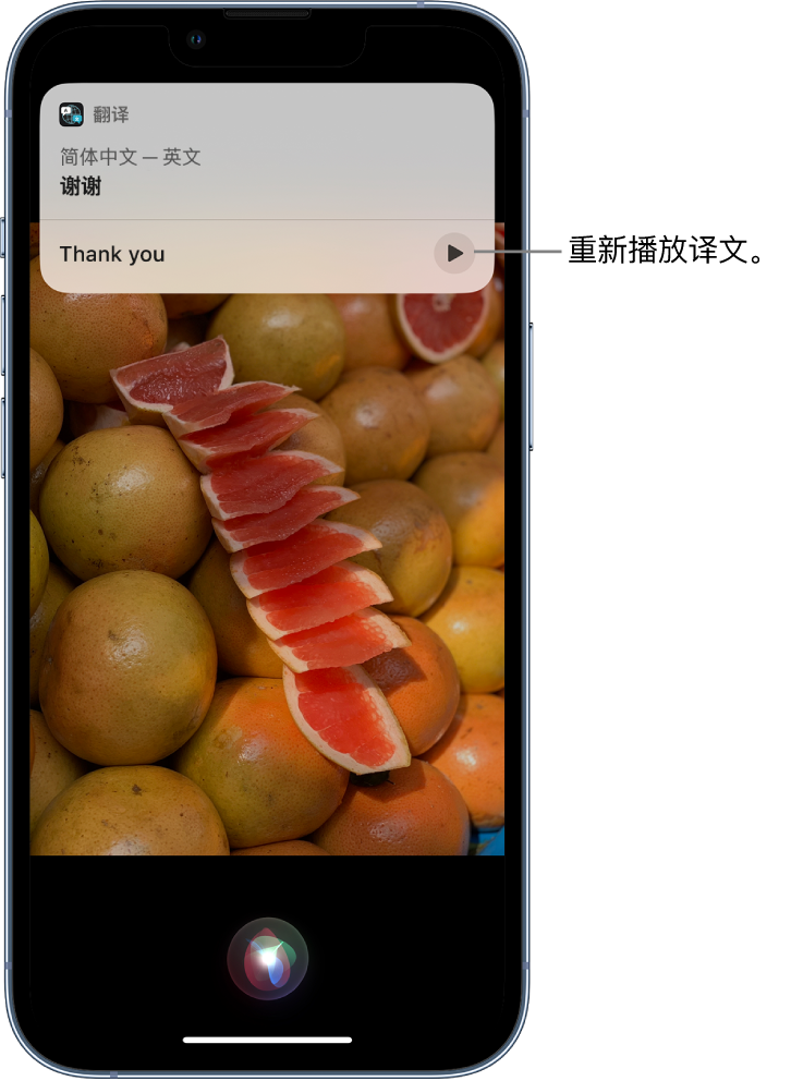 青州苹果14维修分享 iPhone 14 机型中使用 Siri：了解 Siri 能帮你做什么 