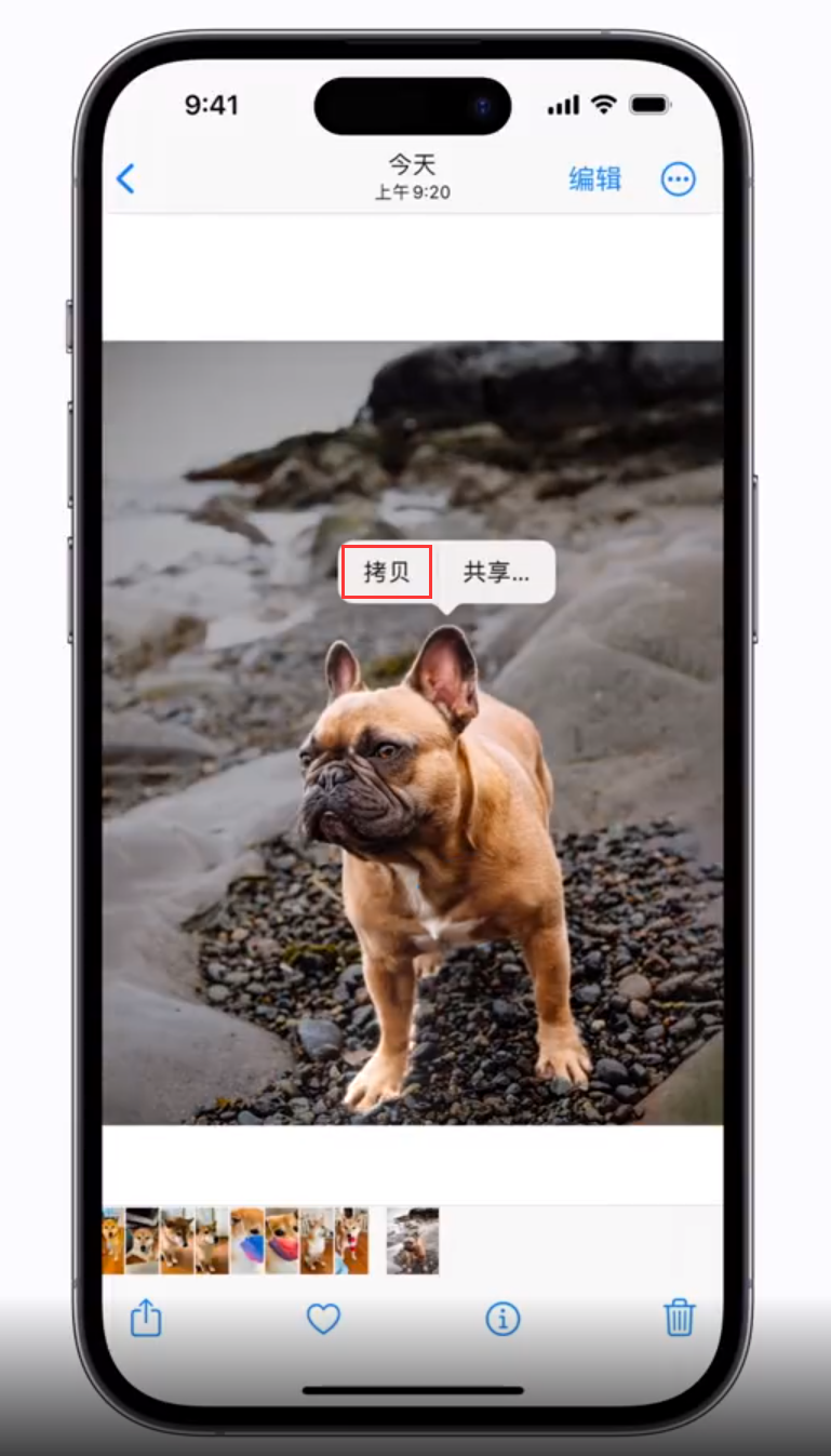青州苹果手机维修分享 iOS 16 自带一键抠图功能 