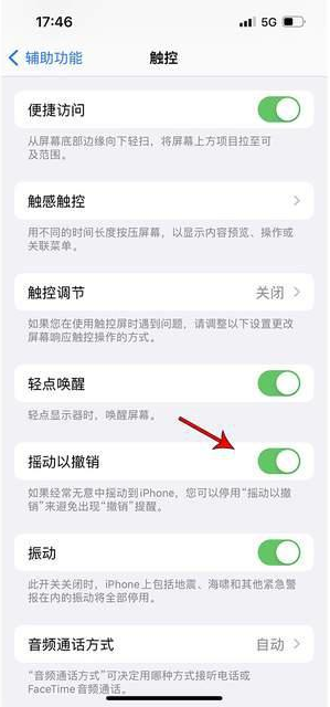 青州苹果手机维修分享iPhone手机如何设置摇一摇删除文字 