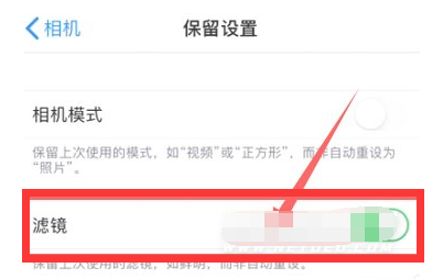 青州苹果13维修分享iPhone13拍照有绿点是怎么回事 