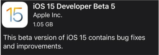 青州苹果手机维修分享如何升级到iOS15.0 beta5 