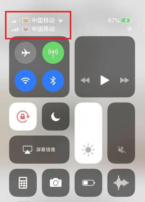 青州苹果手机维修分享为 iPhone 12 双卡设置标签 